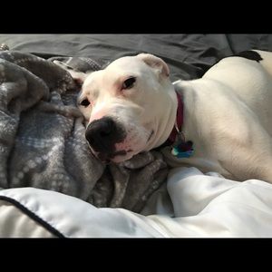 Meet your Posher, Alexis